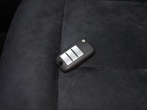 2017eRX5 50T s ܇耳