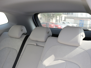 2017ERX5 EV400 늄ӻ g