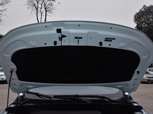 2017ERX5 EV400 늄ӻŞ 