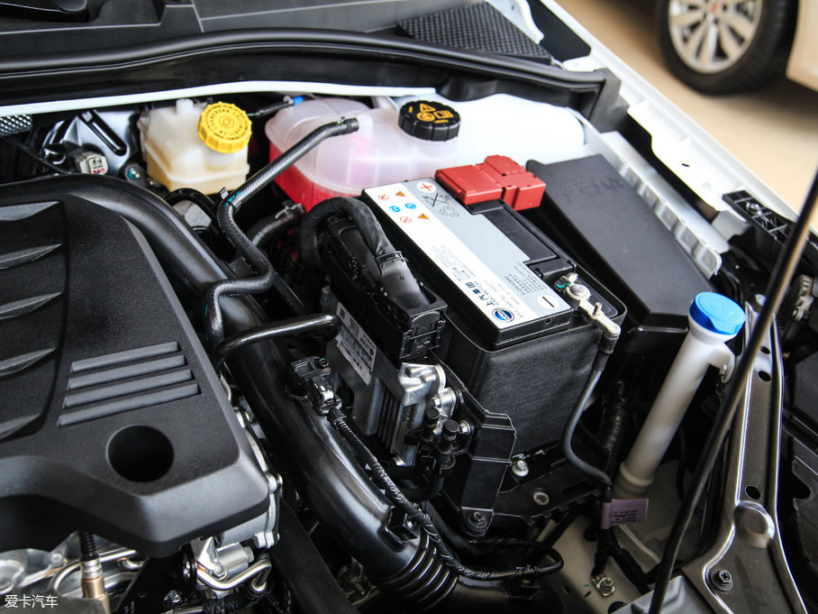 2017si6 20T Ԅӻ(lin)W(wng)