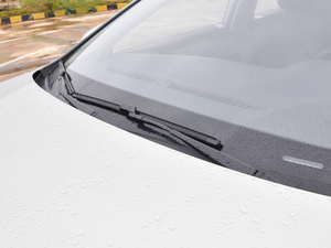 201745T (dng)(lin) ˢ