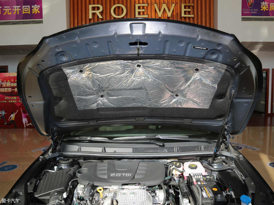 2017s950 30T (lin)W(wng)Ş