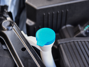 201818T Ԅ(dng)(lin)W(wng) 