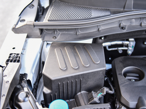 201818T Ԅӻ(lin)W(wng) 