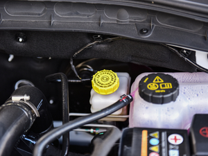 201818T Ԅӻ(lin)W(wng) 