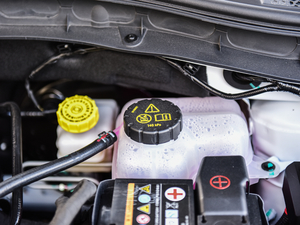 201818T Ԅӻ(lin)W(wng) 