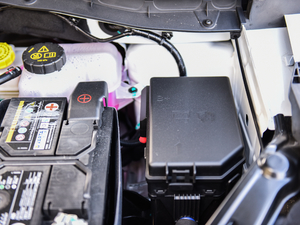 201818T Ԅӻ(lin)W(wng) 