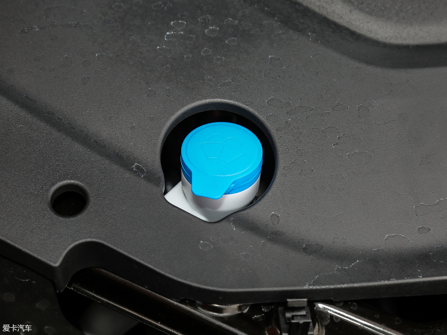 2018sEi5 (lin)W(wng)Ş