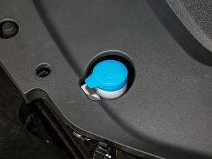 2018(lin)W(wng)Ş 