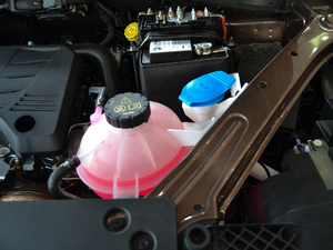 201820T (q)քӻ(lin)W(wng) 