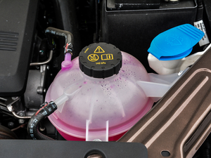 201820T (q)ք(dng)(lin)W(wng)ǻݰ 