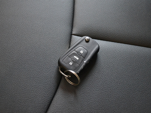 2018PLUS 1.5L ԄӺA ܇耳