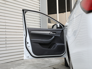 2018PLUS 20T px {λ܇T