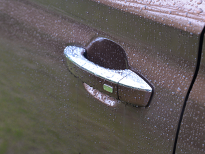 201830T (lin)W(wng)(q) {T