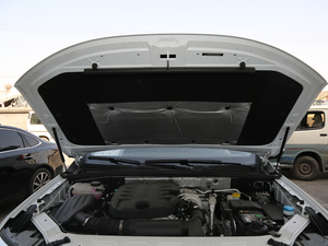 201830T (lin)W(wng)(q) 