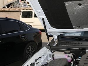 201830T (lin)W(wng)(q) 