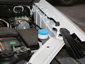 201830T (lin)W(wng)(q) 