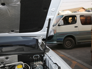 201830T (lin)W(wng)(q) 