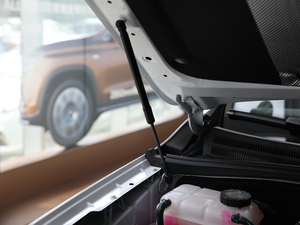 201830T (lin)W(wng)(q) 