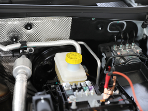 201830T (lin)W(wng)(q) 