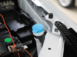 201830T (lin)W(wng)(q) 