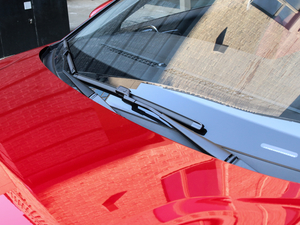 201820T ԄTrophy\ӻW V ˢ