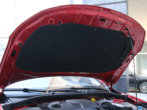 201820T ԄTrophy\ӻW V 