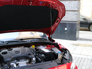 201820T ԄTrophy\ӻW V 