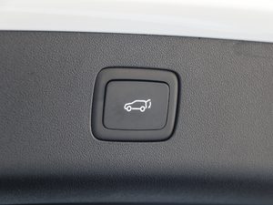 201830T Trophy ɠɳȼ g