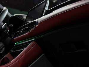 201830T Trophy (q)ɠɳȼ g