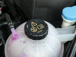 201830T Trophy (q)ɠɳȼ 