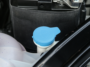 201830T Trophy ɠɳȼ 