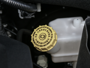 201830T Trophy ɠɳȼ 