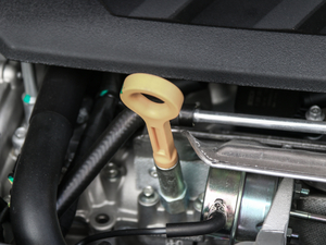 201830T Trophy ɠɳȼ 