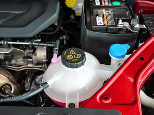 201830T Trophy (q)ɠȼ 