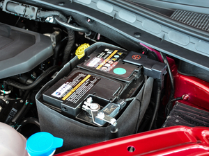 201830T Trophy (q)ɠȼ 