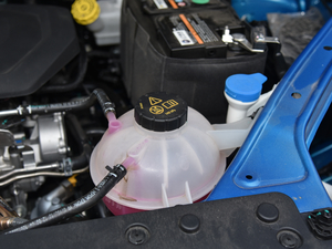 201830T Trophy (q)ɠɳȼ 