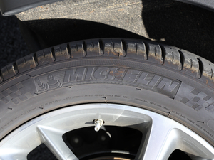 201830T Trophy ɠɳȼ ݆̥Ʒ