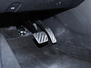 201830T Trophy ɠɳȼ g