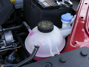 201830T Trophy (q)ɠɳȼ 