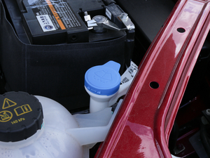 201830T Trophy (q)ɠɳȼ 