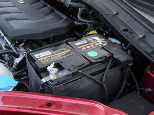 201830T Trophy (q)ɠɳȼ 