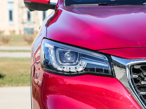 201830T Trophy ɠɳȼ ^