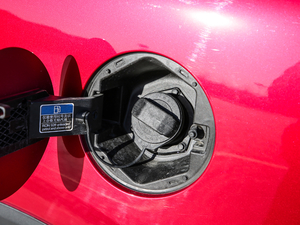 201830T Trophy (q)ɠɳȼ (ji)^