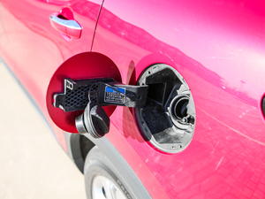 201830T Trophy (q)ɠɳȼ (ji)^