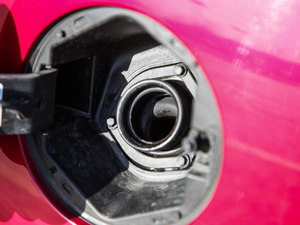 201830T Trophy (q)ɠɳȼ (ji)^