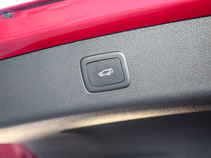 201830T Trophy ɠɳȼ g