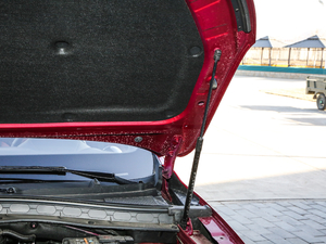 201830T Trophy (q)ɠɳȼ 