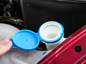 201830T Trophy ɠɳȼ 