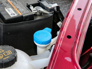 201830T Trophy ɠɳȼ 